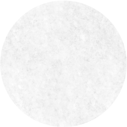 record icon