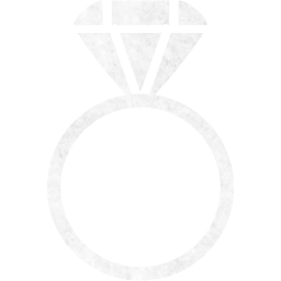 ring 2 icon