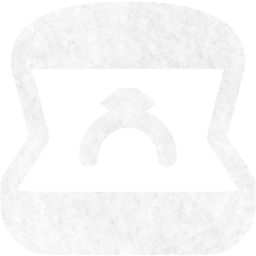ring icon