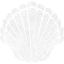seashell 2