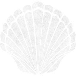 seashell 2 icon