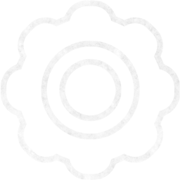 settings 16 icon