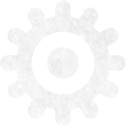 settings 21 icon
