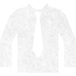 shirt icon