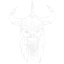 skull 35