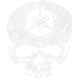 skull 49 icon