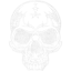 skull 61