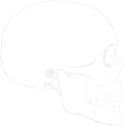 skull 62 icon