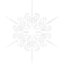 snowflake 11