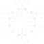 snowflake 12