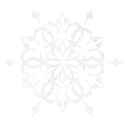 snowflake 13 icon