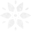 snowflake 23