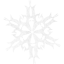 snowflake 30