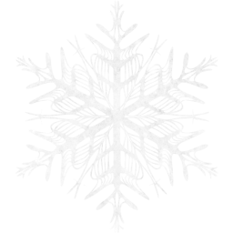 snowflake 37 icon