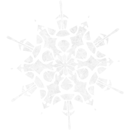snowflake 40 icon