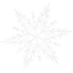 snowflake 41 icon