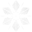 snowflake 5