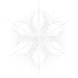 snowflake 53 icon