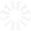 snowflake 6