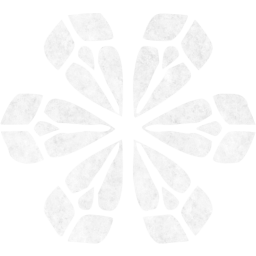 snowflake 9 icon
