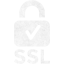 ssl badge 2