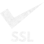 ssl badge 3