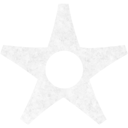 star 16 icon