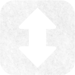 torrent icon
