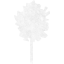 tree 12