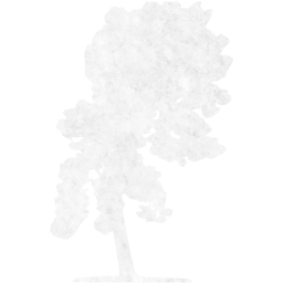 tree 38 icon