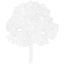 tree 4