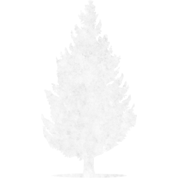 tree 55 icon