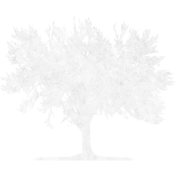 tree 59 icon