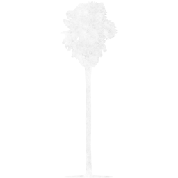 tree 77 icon