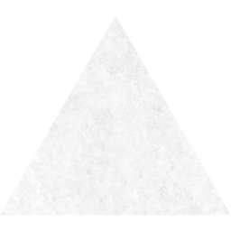 triangle icon