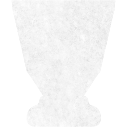 trophy 5 icon