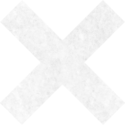 x mark icon