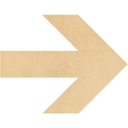 arrow 21 icon