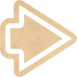 arrow right icon