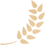 barley