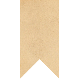 bookmark 5 icon