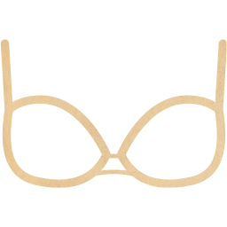 bra 2 icon