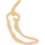chili pepper 7