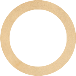 circle outline icon