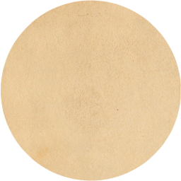 circle icon