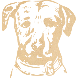 dog 6 icon