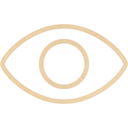 eye icon