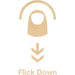 flick down 2 icon