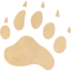 footprints bear