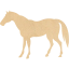 horse 4